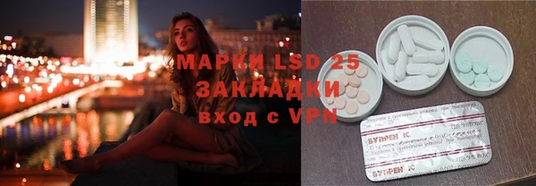 шишки Горно-Алтайск
