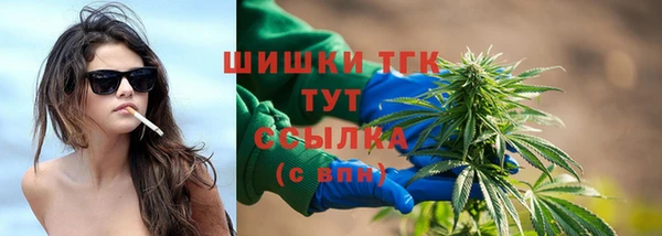 apvp Горнозаводск