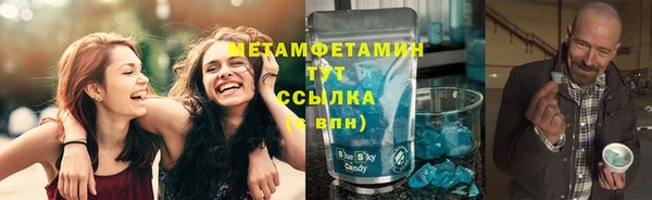 шишки Горно-Алтайск