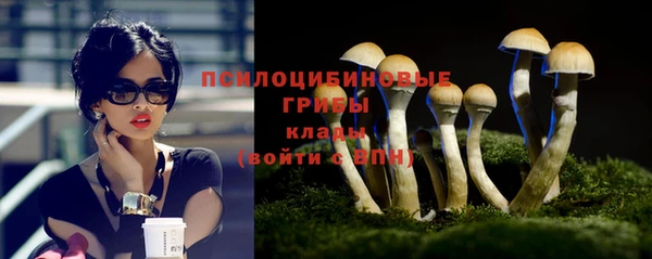 дурь Горняк