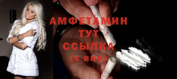 шишки Горно-Алтайск