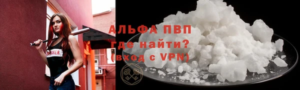 шишки Горно-Алтайск