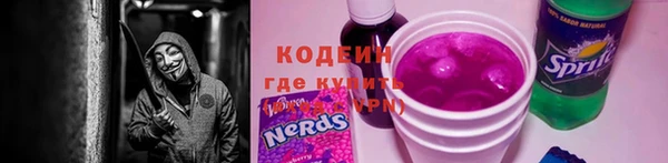 шишки Горно-Алтайск
