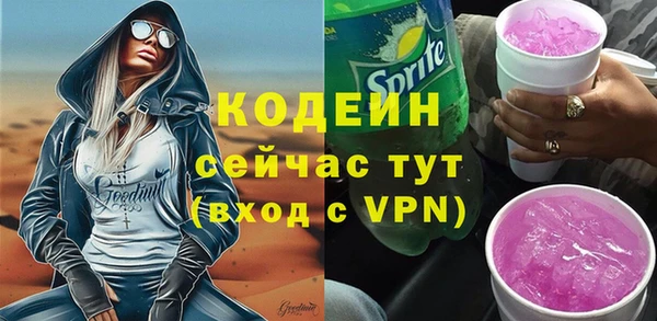 apvp Горнозаводск