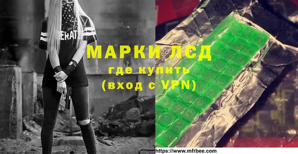 шишки Горно-Алтайск