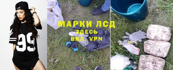 дурь Горняк