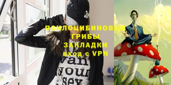 шишки Горно-Алтайск