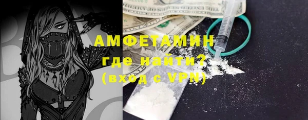 шишки Горно-Алтайск