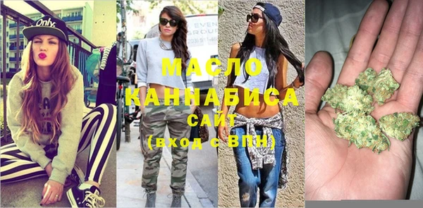 шишки Горно-Алтайск