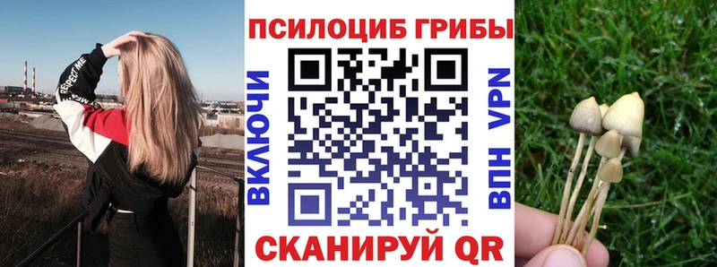 Псилоцибиновые грибы мицелий  даркнет сайт  Иланский 